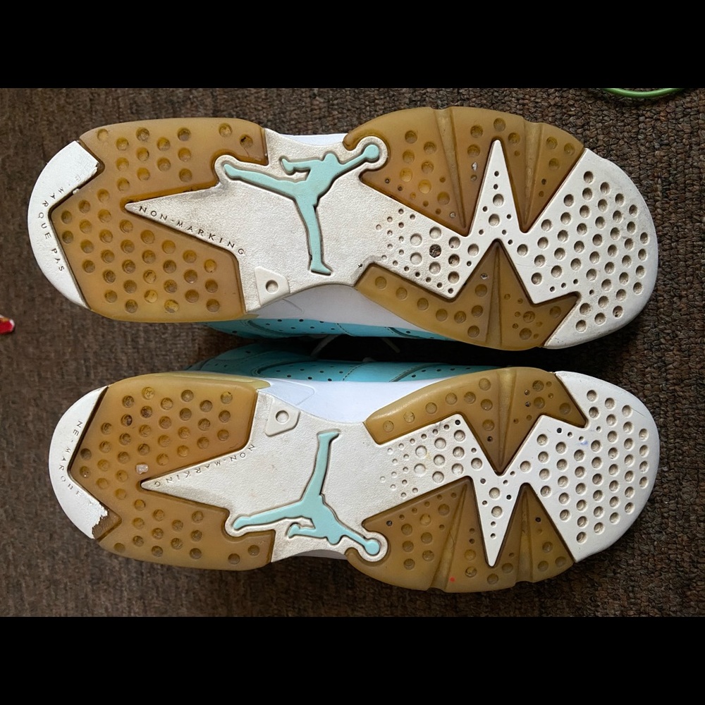 Jordan 6 Retro “Pantone” (GS)